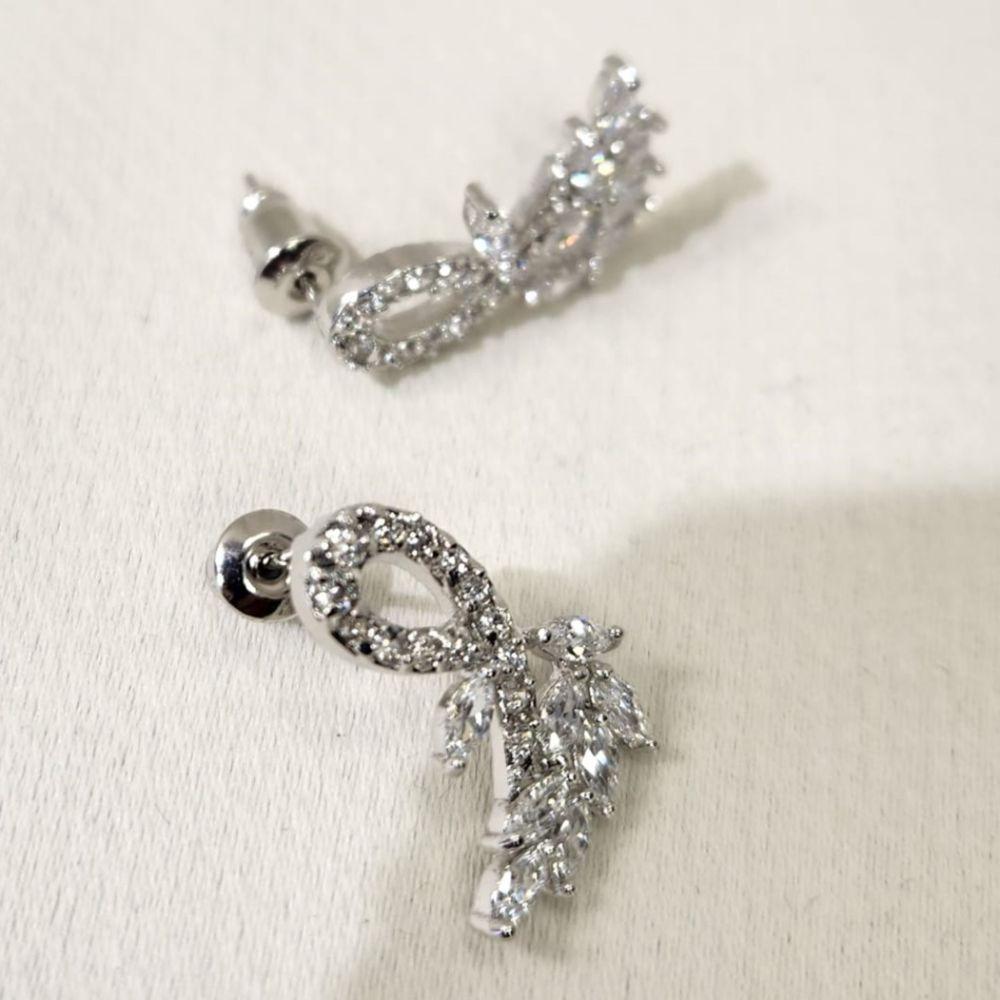 Pushback post of Gorgeous silver color earrings