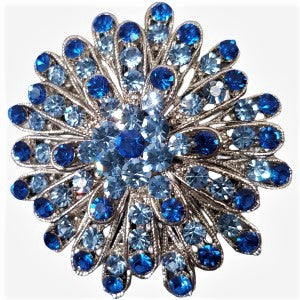 Brooch adorned with blue colored stones