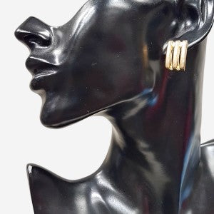 Earrings in gold color frame