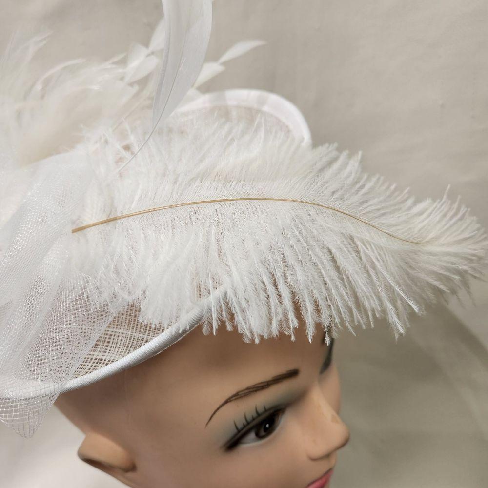 Feathers on White cambric with feathers fascinator