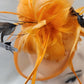 Detailed top view of Orange fascinator with black and orange feathers