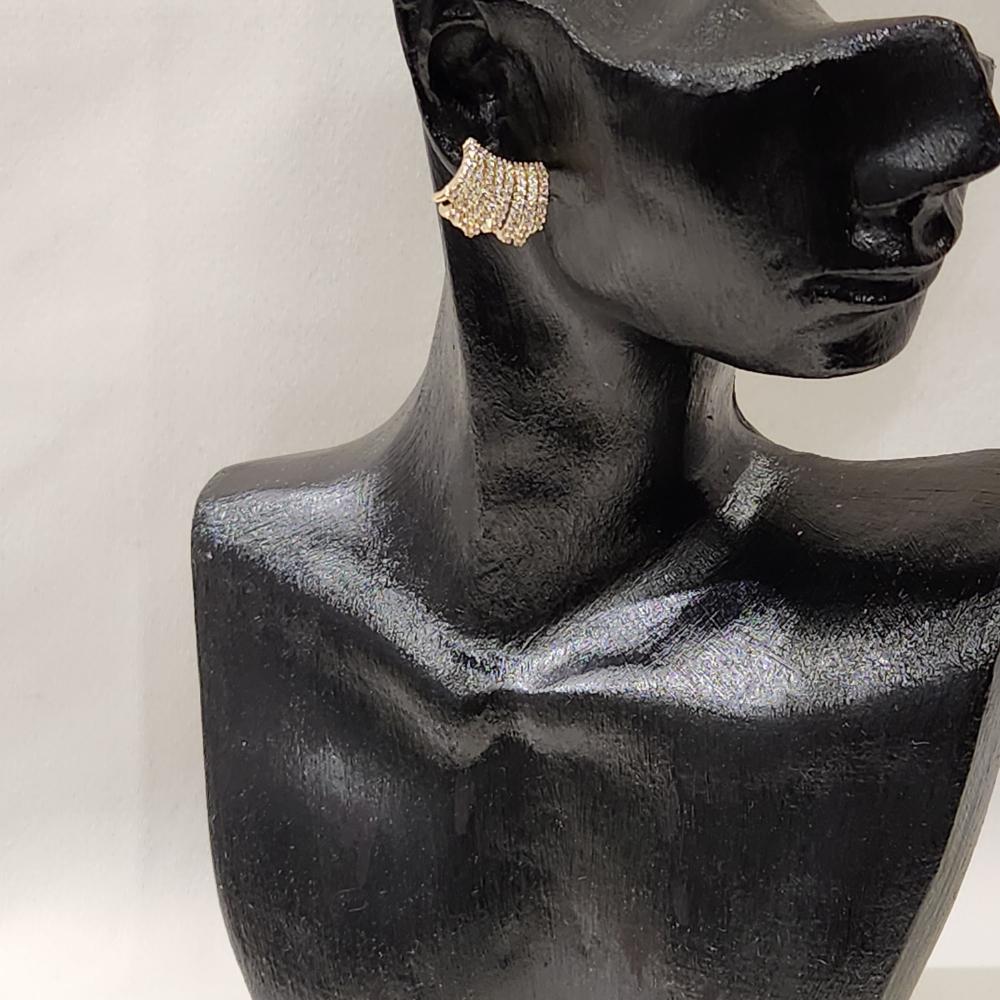 Stone studded stud earrings in gold frame