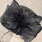 Detailed view of bow and feathers on black dress hat