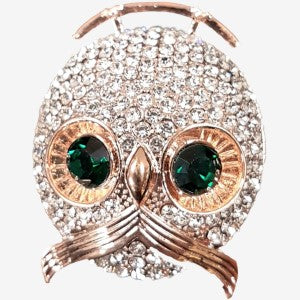 Stylish owl shaped brooch in gold frame