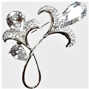 Elegant brooch in silver frame