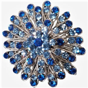 Brooch adorned with blue colored stones