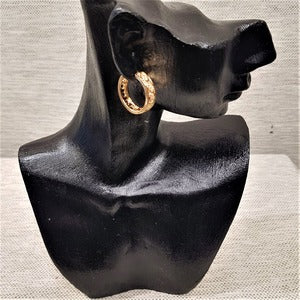 Gold frame midsized gold color hoop earrings