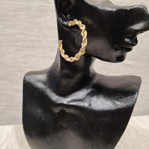 Front view of Twined hoop earrings in gold frame